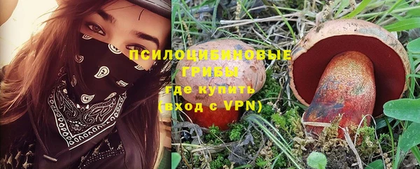 spice Алексин