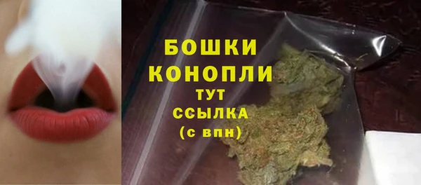 apvp Арсеньев