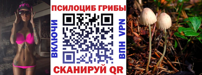 Псилоцибиновые грибы мухоморы  блэк спрут ссылки  Краснотурьинск 